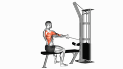 Cable Seated One Arm Alternate Row